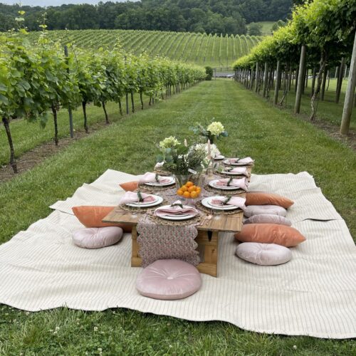 Dynamis_Picnic_by_the_Vines_