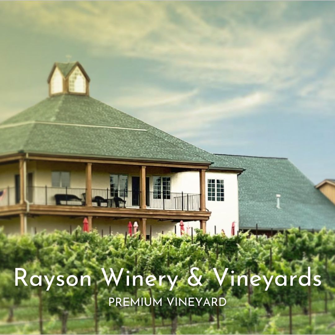 Rayson Winery & Vineyards
