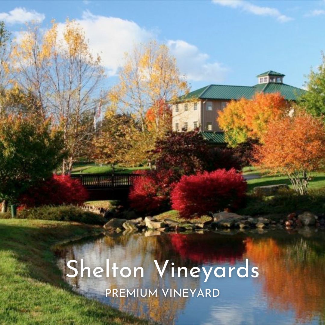 Shelton Vineyards